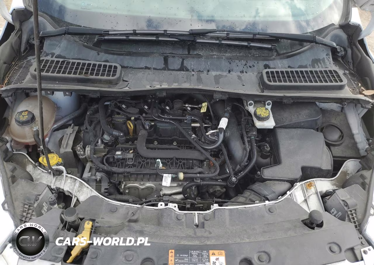 2019 Ford Escape Sel VIN:1FMCU9HD0KUB14827 - 12