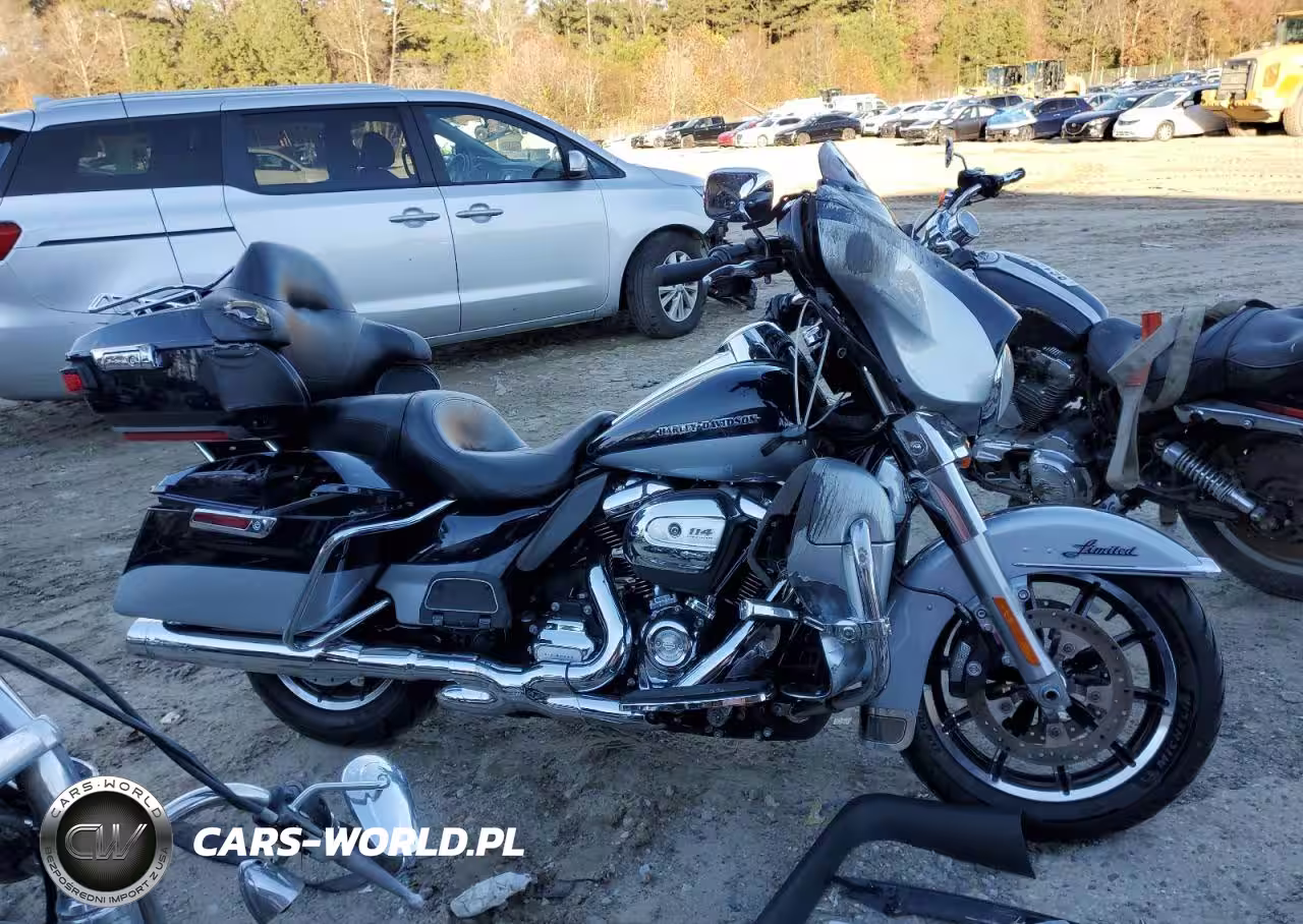 2019 Harley-Davidson Flhtk