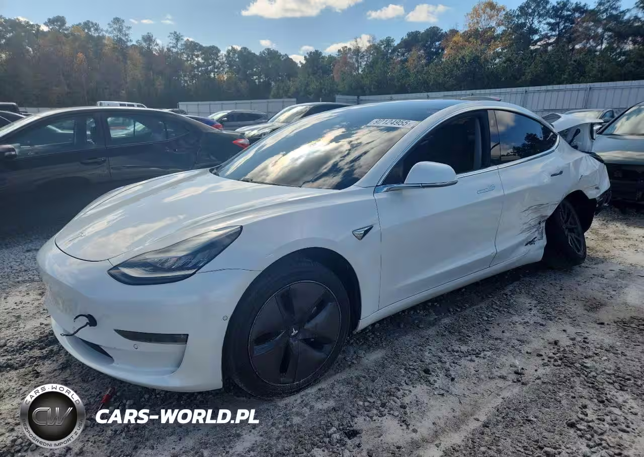 2019 Tesla Model 3