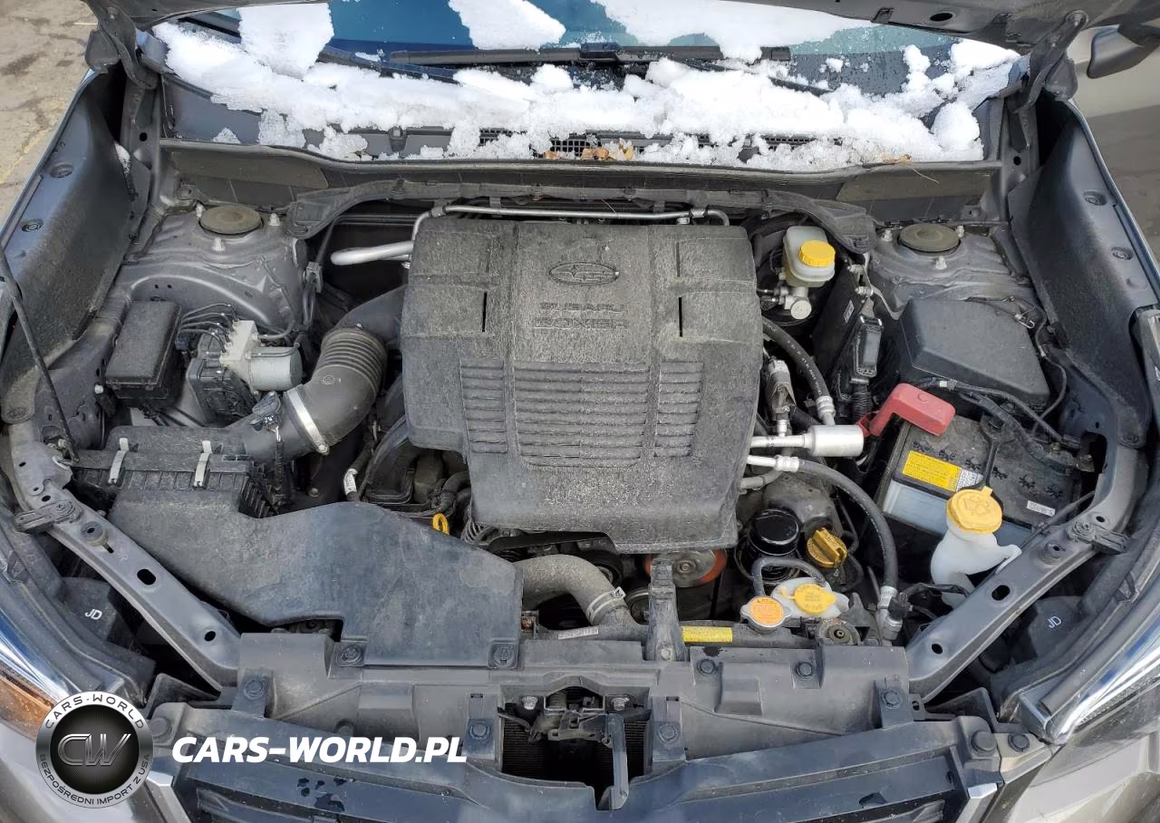 2019 Subaru Forester Premium VIN:JF2SKAGC1KH564321 - 12