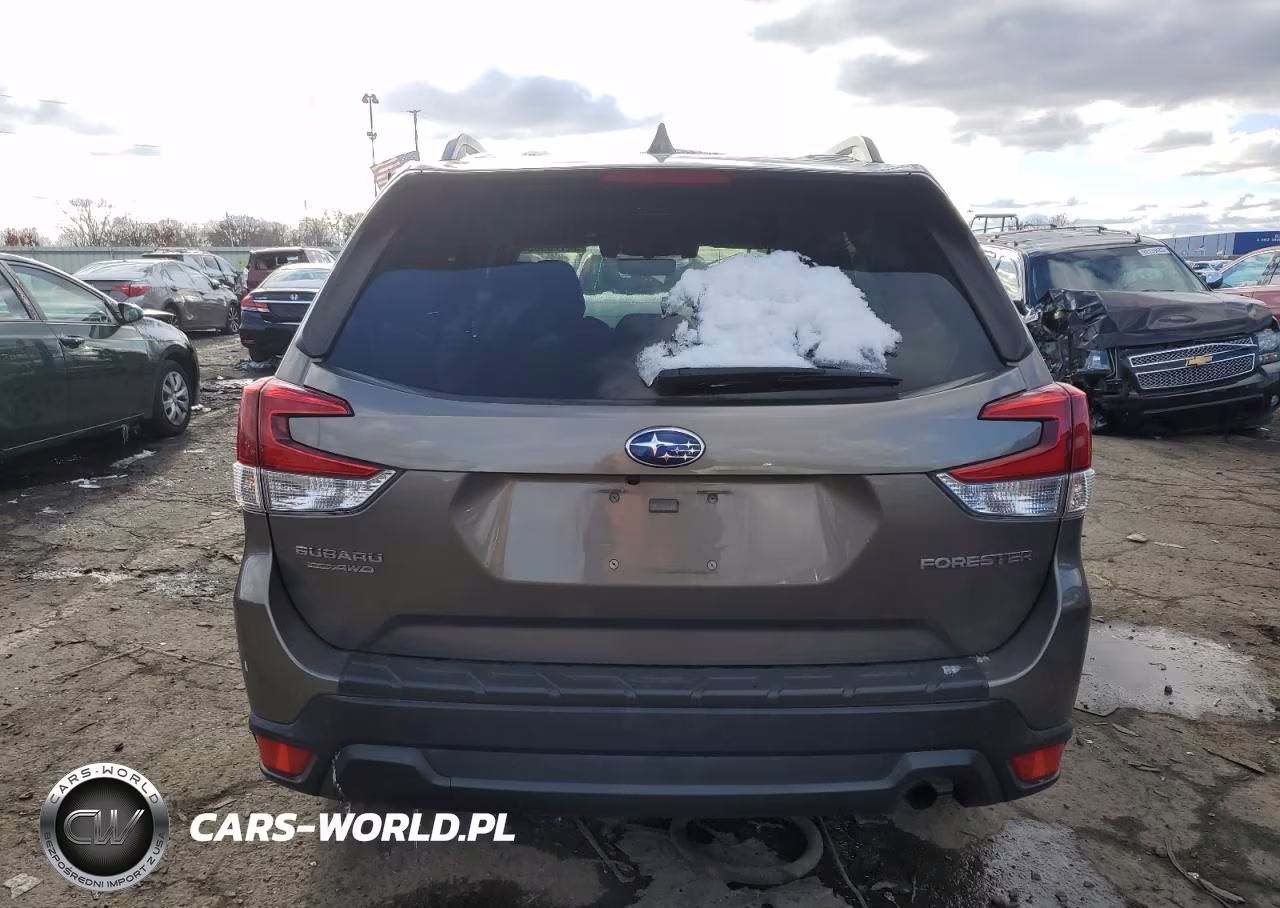 2019 Subaru Forester Premium VIN:JF2SKAGC1KH564321 - 6