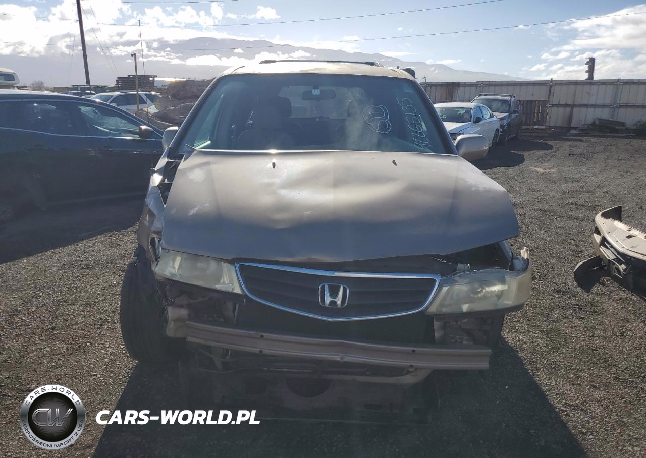 2003 Honda Odyssey Exl VIN:5FNRL18043B124450 - 5