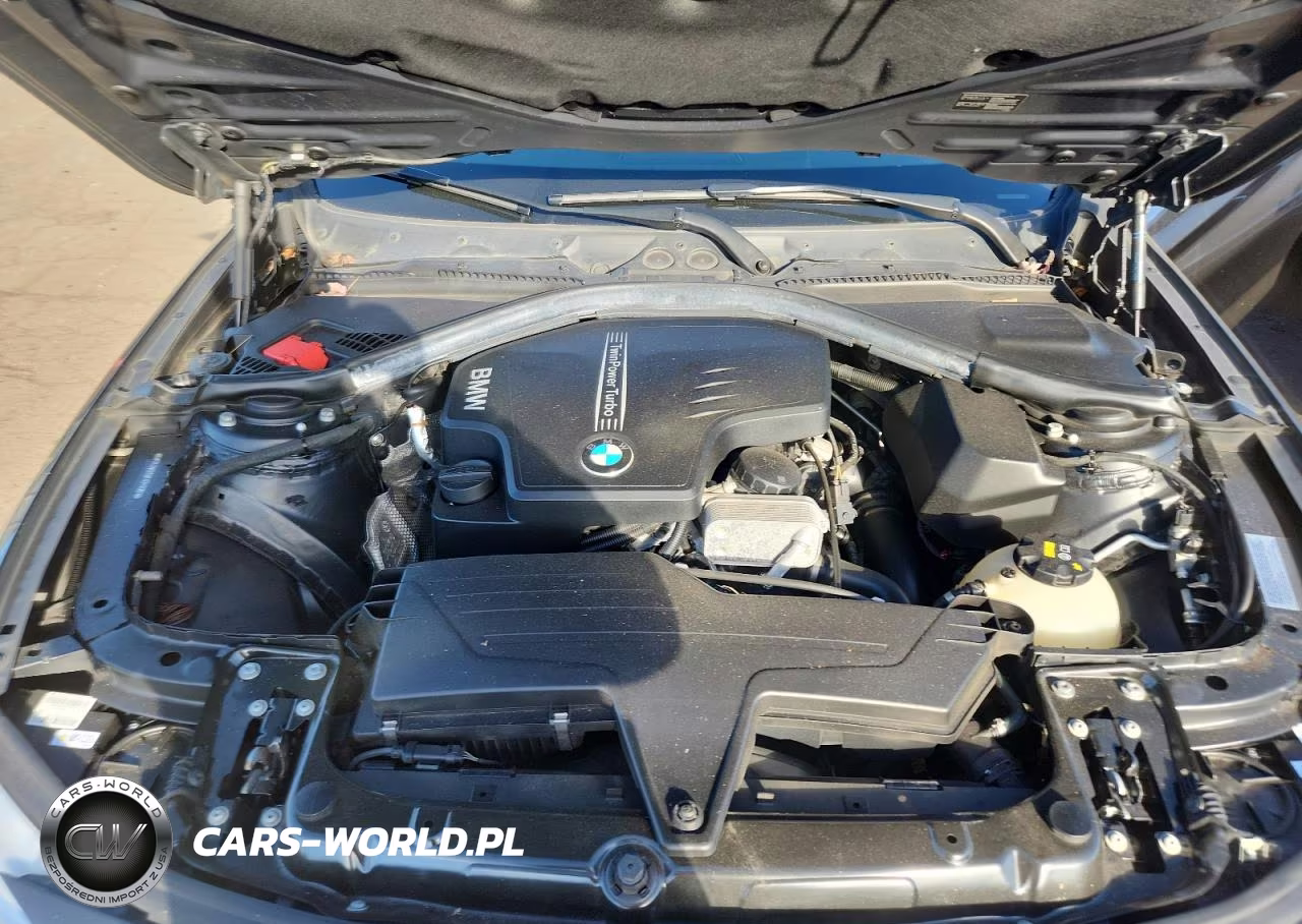2014 BMW 428 Xi VIN:WBA3N9C50EK245061 - 11