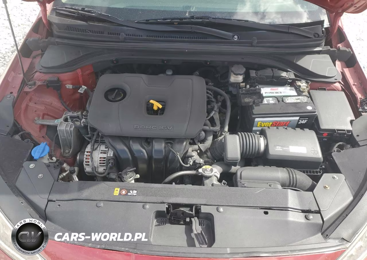 2019 Hyundai Elantra Sel VIN:KMHD84LF8KU844960 - 11