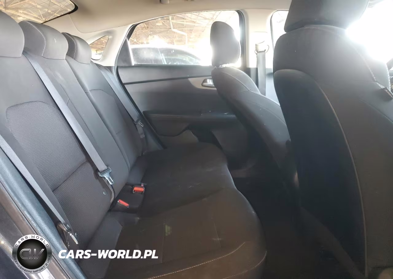 2019 Kia Forte Lxs VIN:3KPF24AD1KE091951 - 10