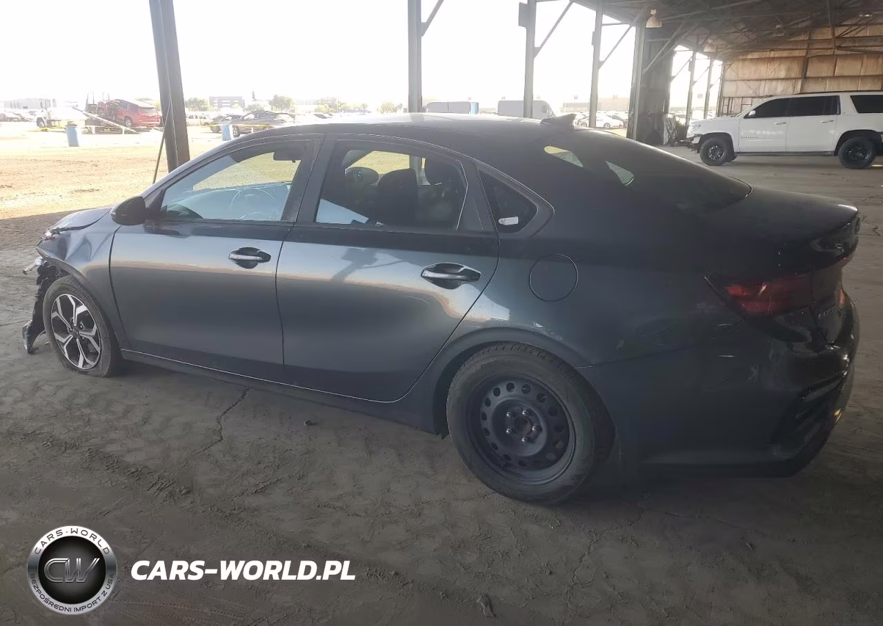 2019 Kia Forte Lxs VIN:3KPF24AD1KE091951 - 2