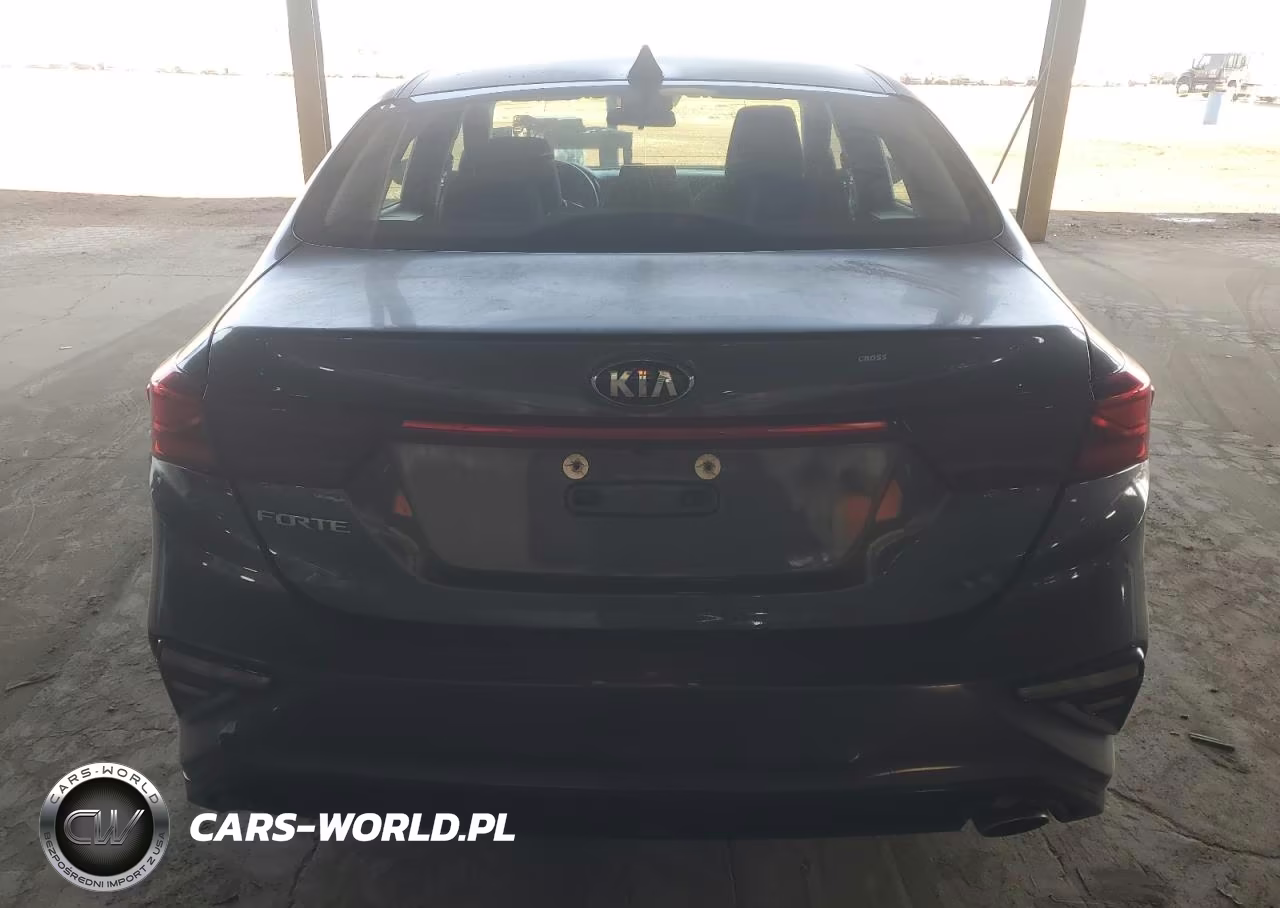2019 Kia Forte Lxs VIN:3KPF24AD1KE091951 - 6