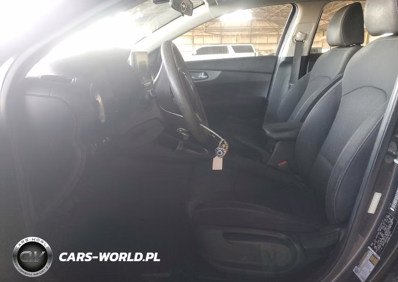 2019 Kia Forte Lxs VIN:3KPF24AD1KE091951 - 7