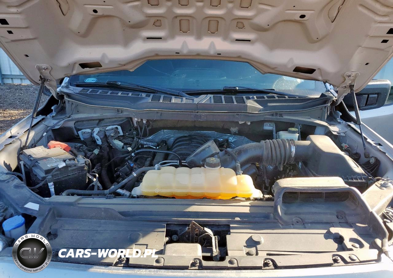 2021 Ford F150 Supercrew VIN:1FTEW1C51MKE39106 - 11