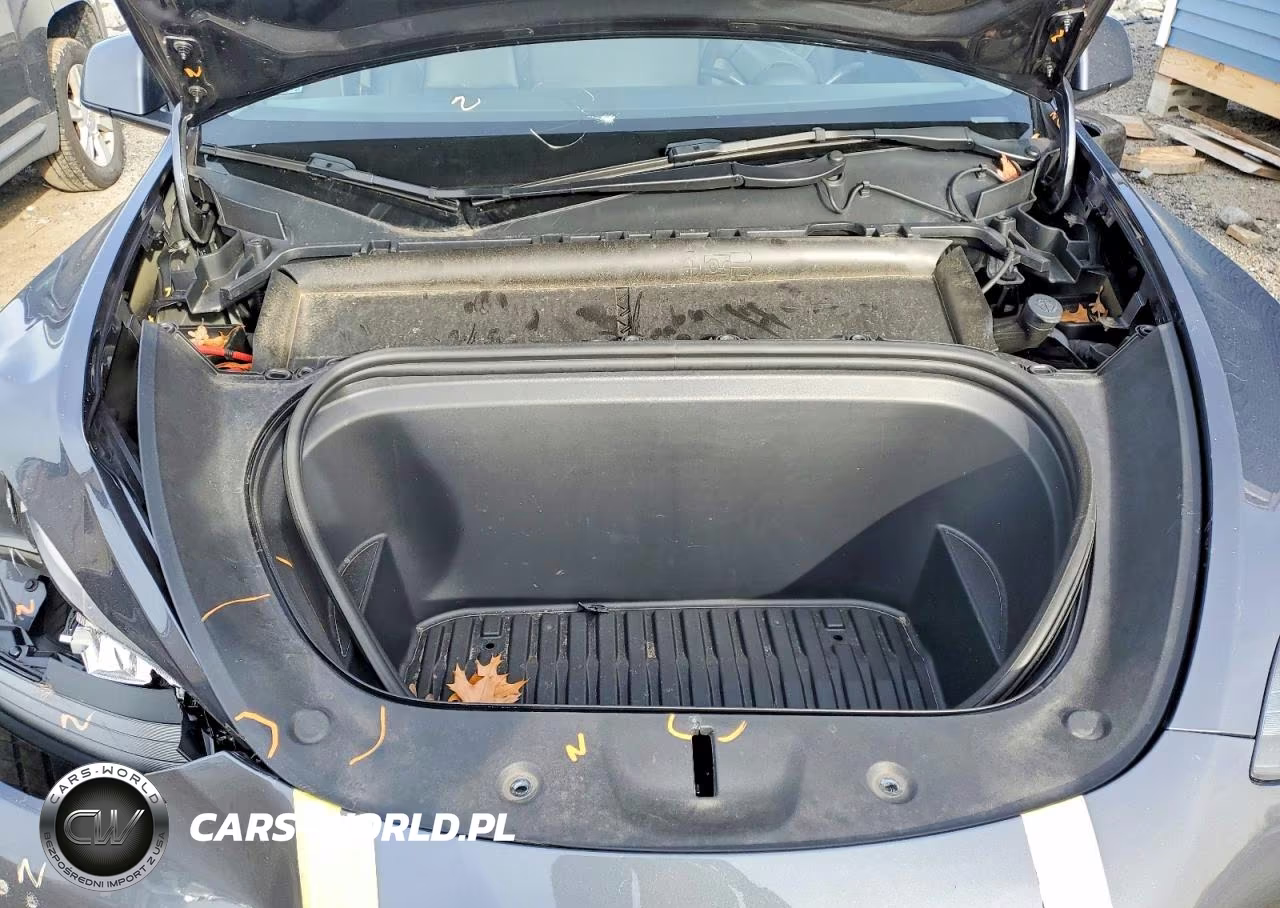 2023 Tesla Model Y VIN:7SAYGDEF4PF582346 - 11