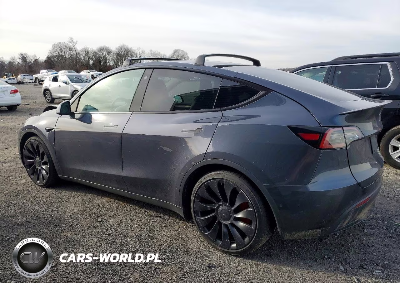 2023 Tesla Model Y VIN:7SAYGDEF4PF582346 - 2
