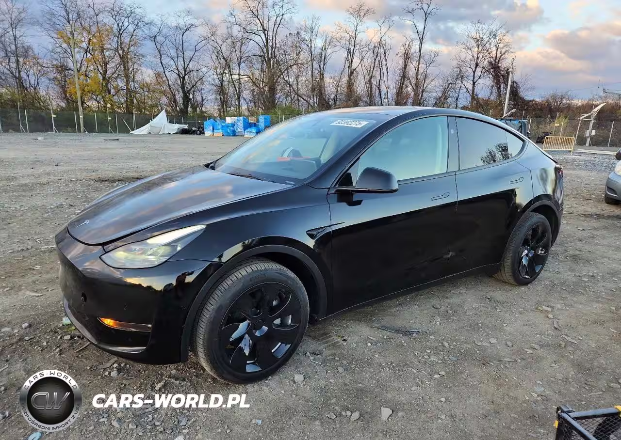 2024 Tesla Model Y