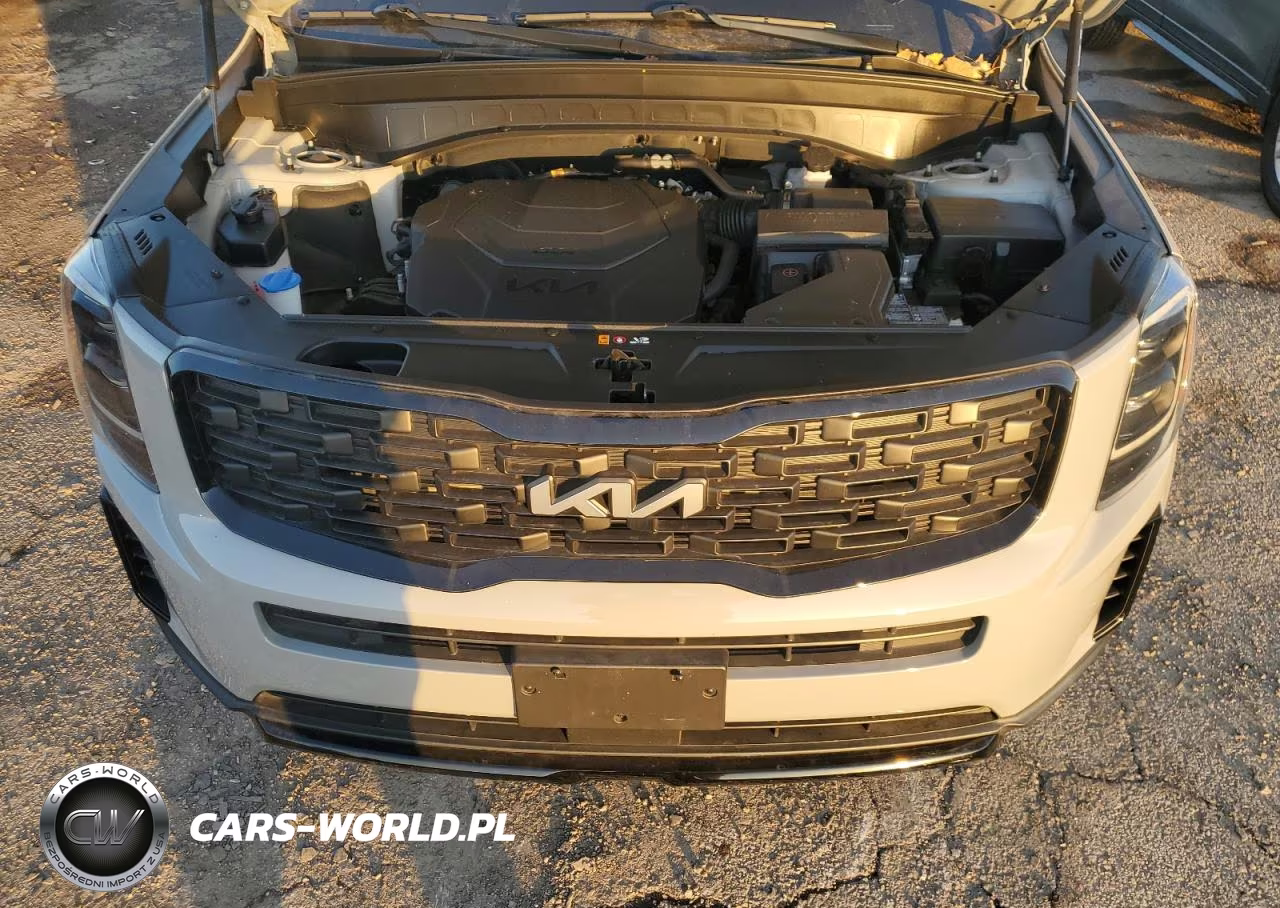 2022 Kia Telluride Ex VIN:5XYP3DHC3NG323665 - 12