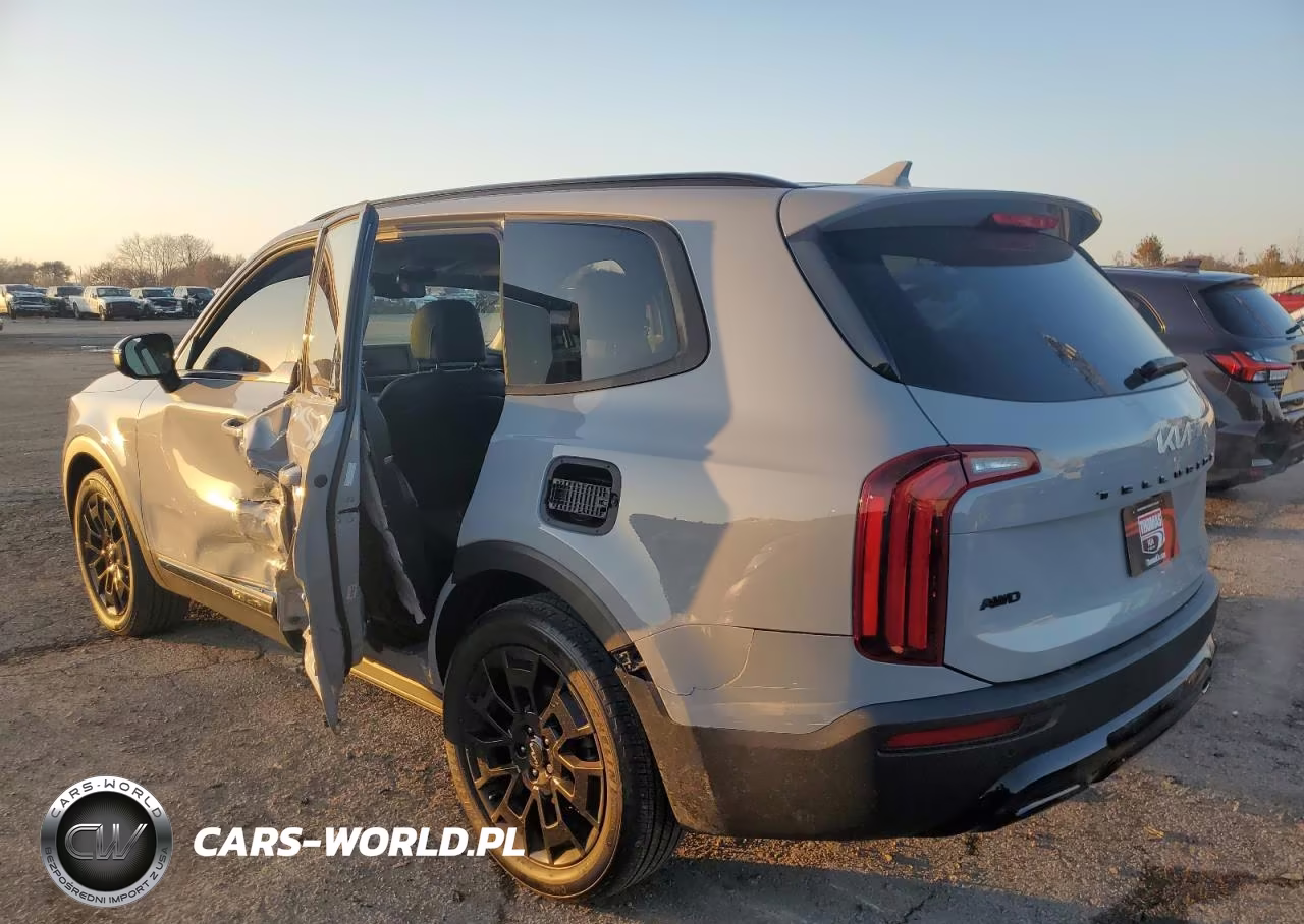 2022 Kia Telluride Ex VIN:5XYP3DHC3NG323665 - 2