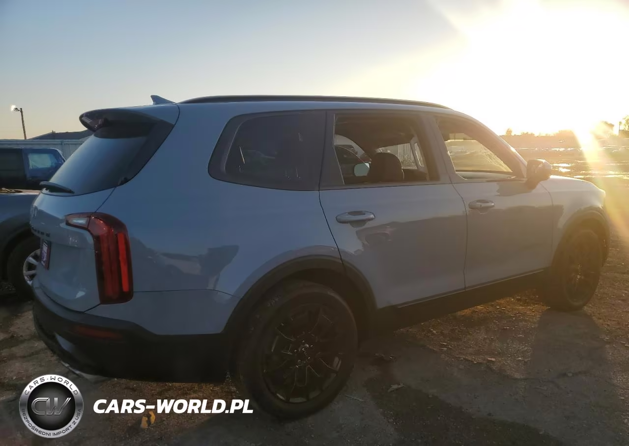 2022 Kia Telluride Ex VIN:5XYP3DHC3NG323665 - 3