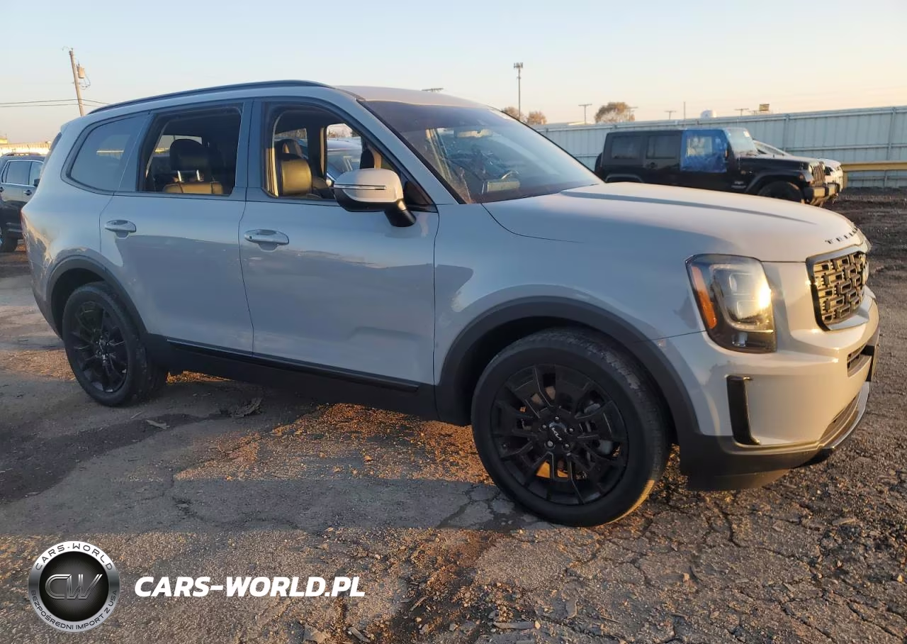 2022 Kia Telluride Ex VIN:5XYP3DHC3NG323665 - 4
