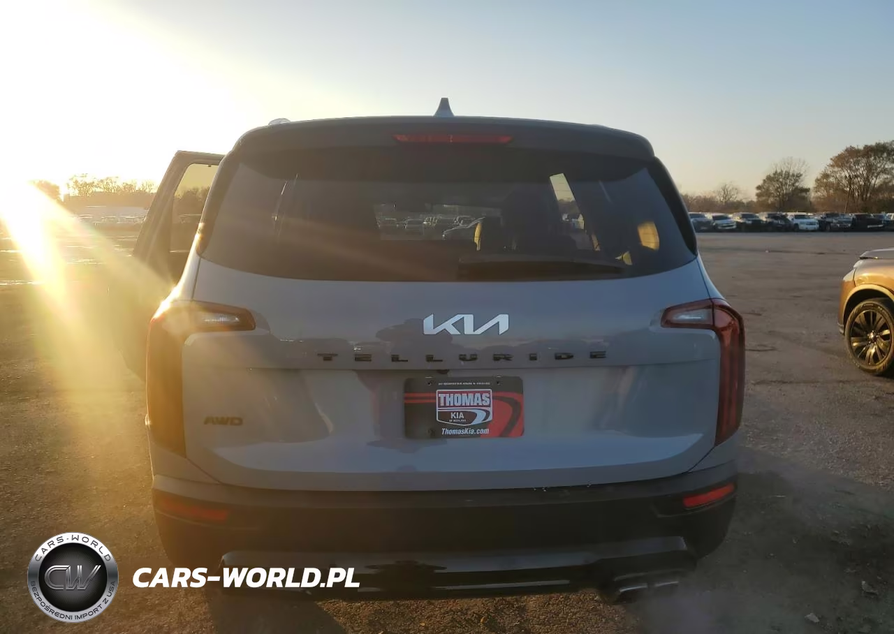 2022 Kia Telluride Ex VIN:5XYP3DHC3NG323665 - 6