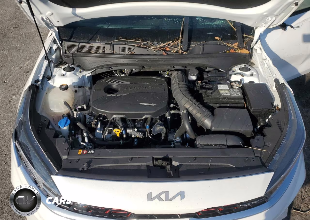 2022 Kia Forte Gt VIN:3KPF44AC9NE494467 - 11