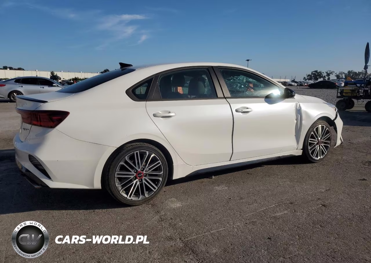 2022 Kia Forte Gt VIN:3KPF44AC9NE494467 - 3