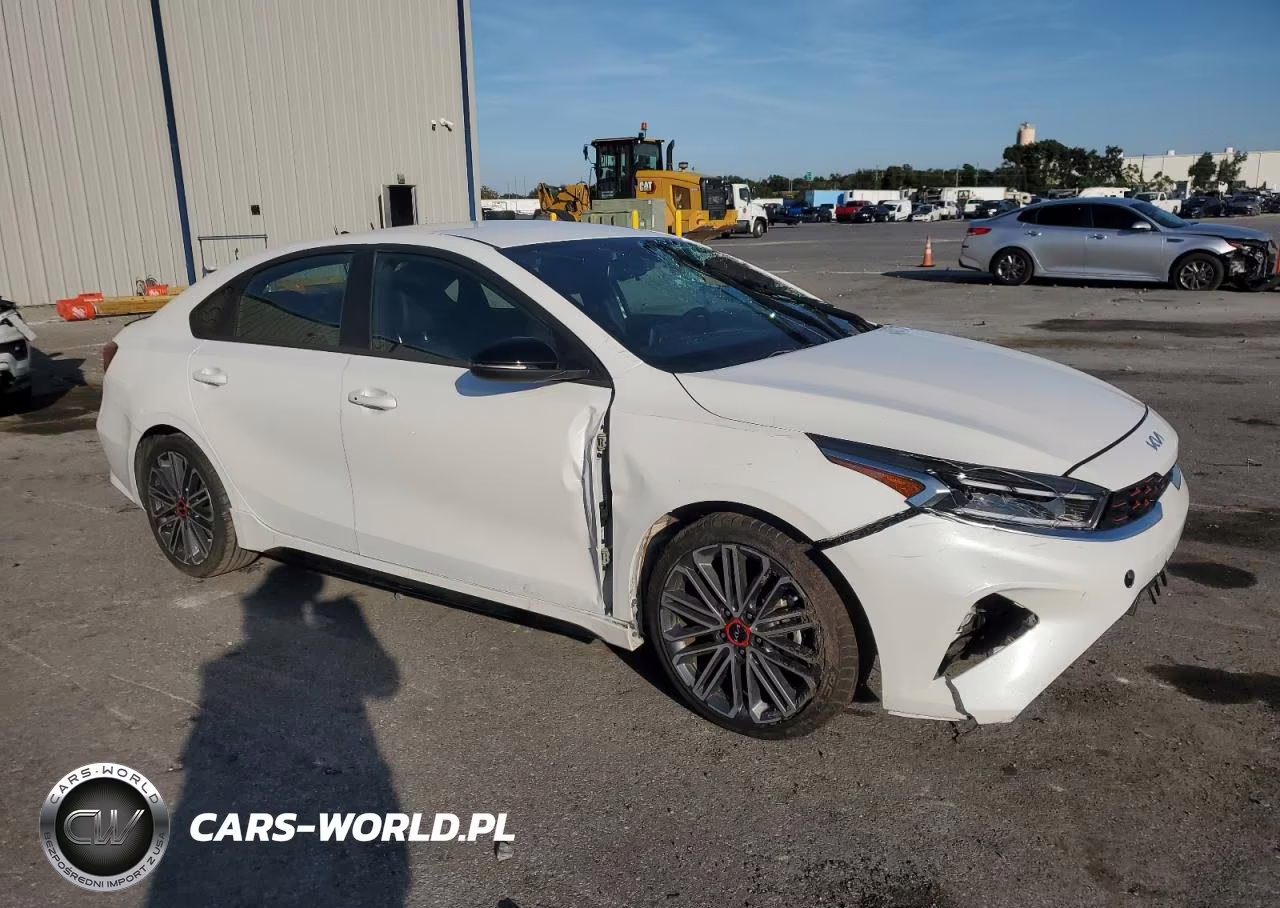 2022 Kia Forte Gt VIN:3KPF44AC9NE494467 - 4