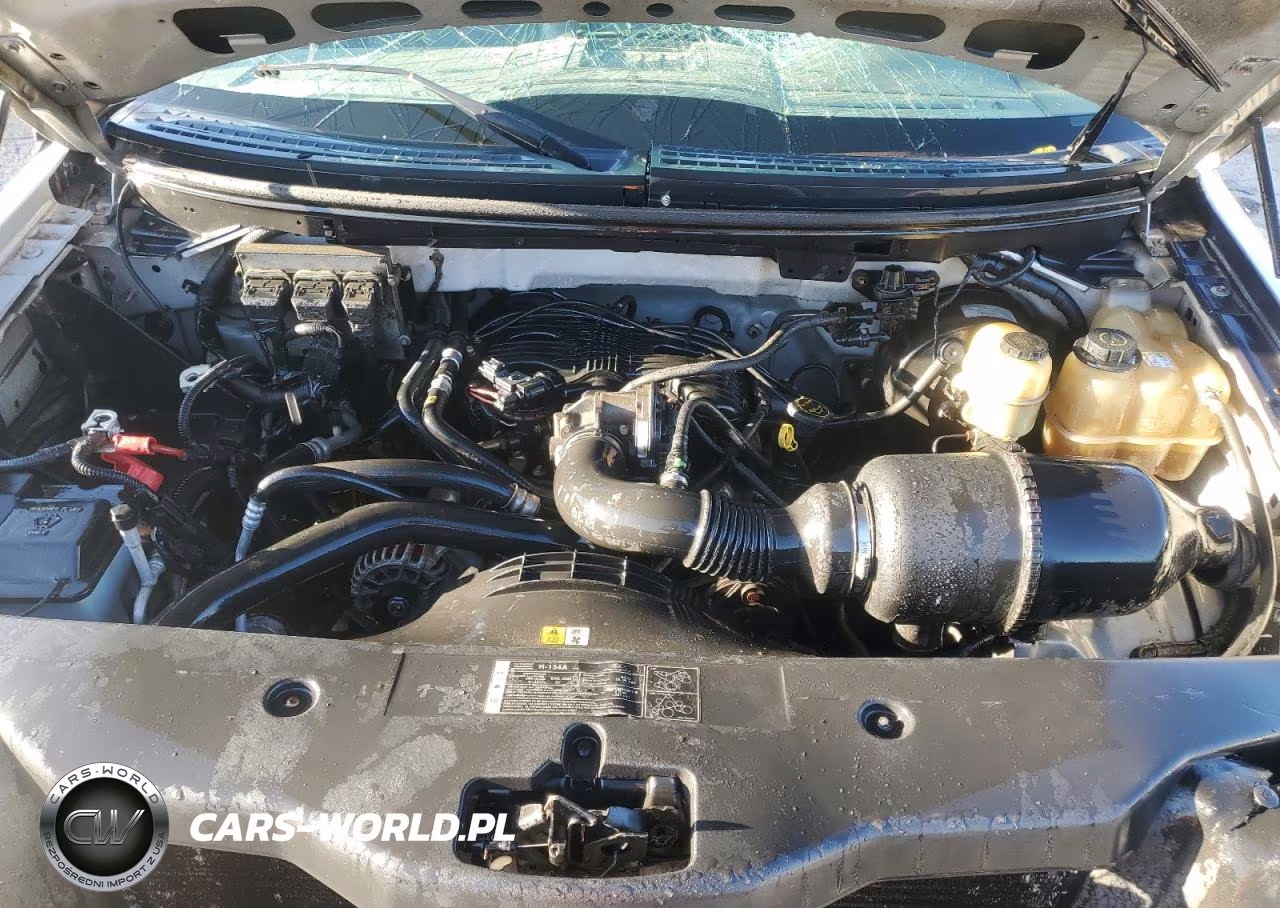 2006 Ford F150 VIN:1FTRF12296NB45365 - 11