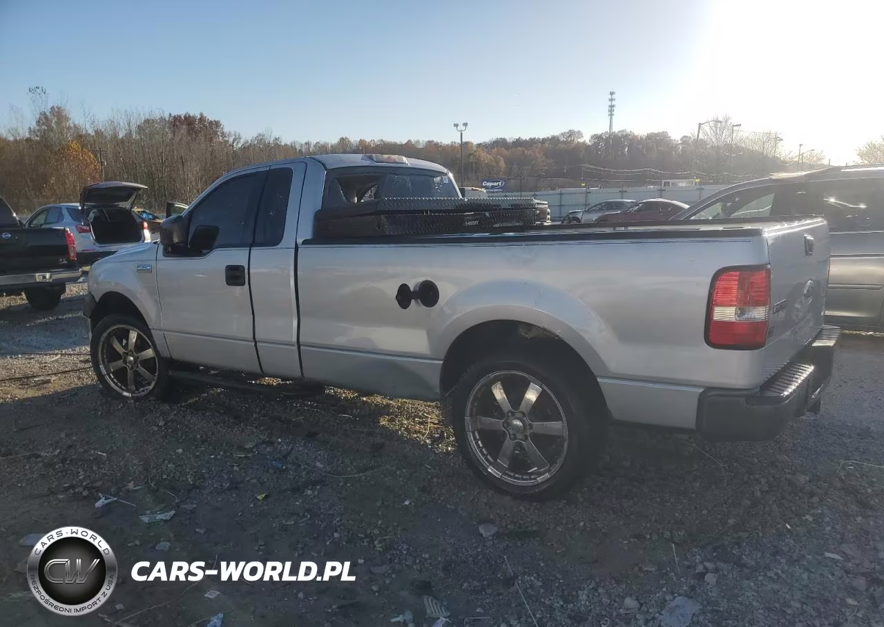 2006 Ford F150 VIN:1FTRF12296NB45365 - 2