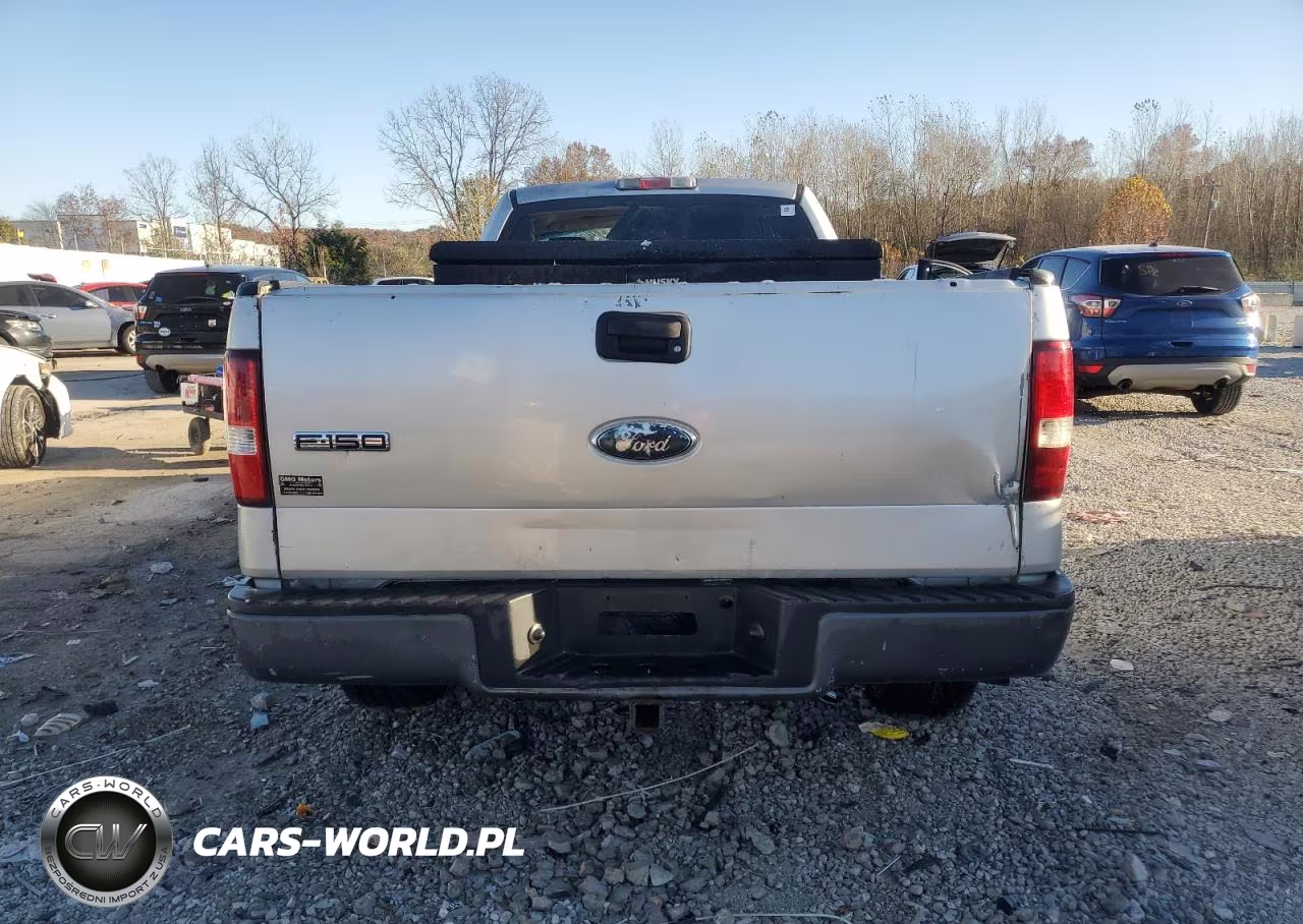 2006 Ford F150 VIN:1FTRF12296NB45365 - 6