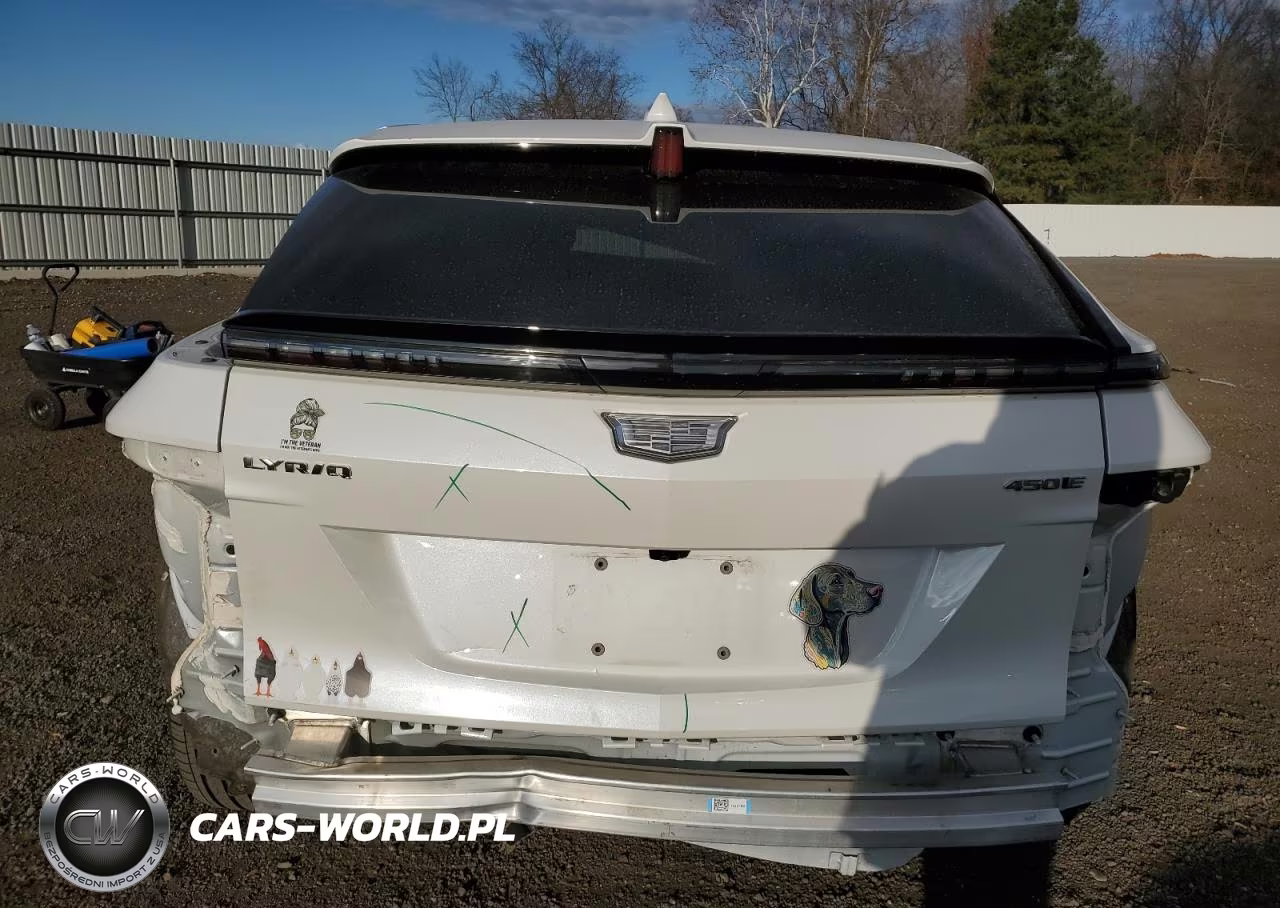 2024 Cadillac Lyriq Luxury VIN:1GYKPRRK2RZ105106 - 6