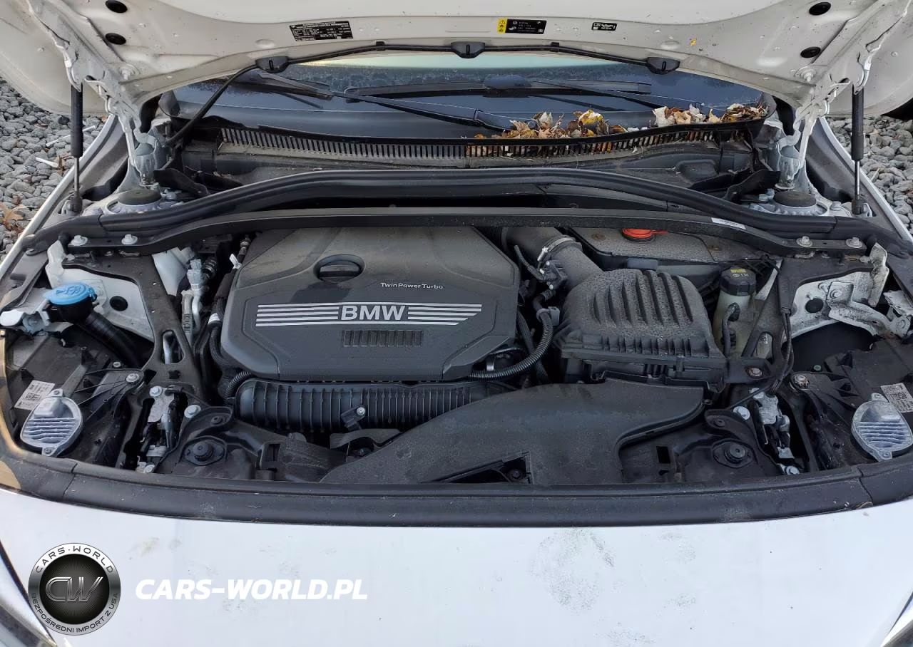 2022 BMW 228Xi VIN:WBA73AK08N7K41163 - 11
