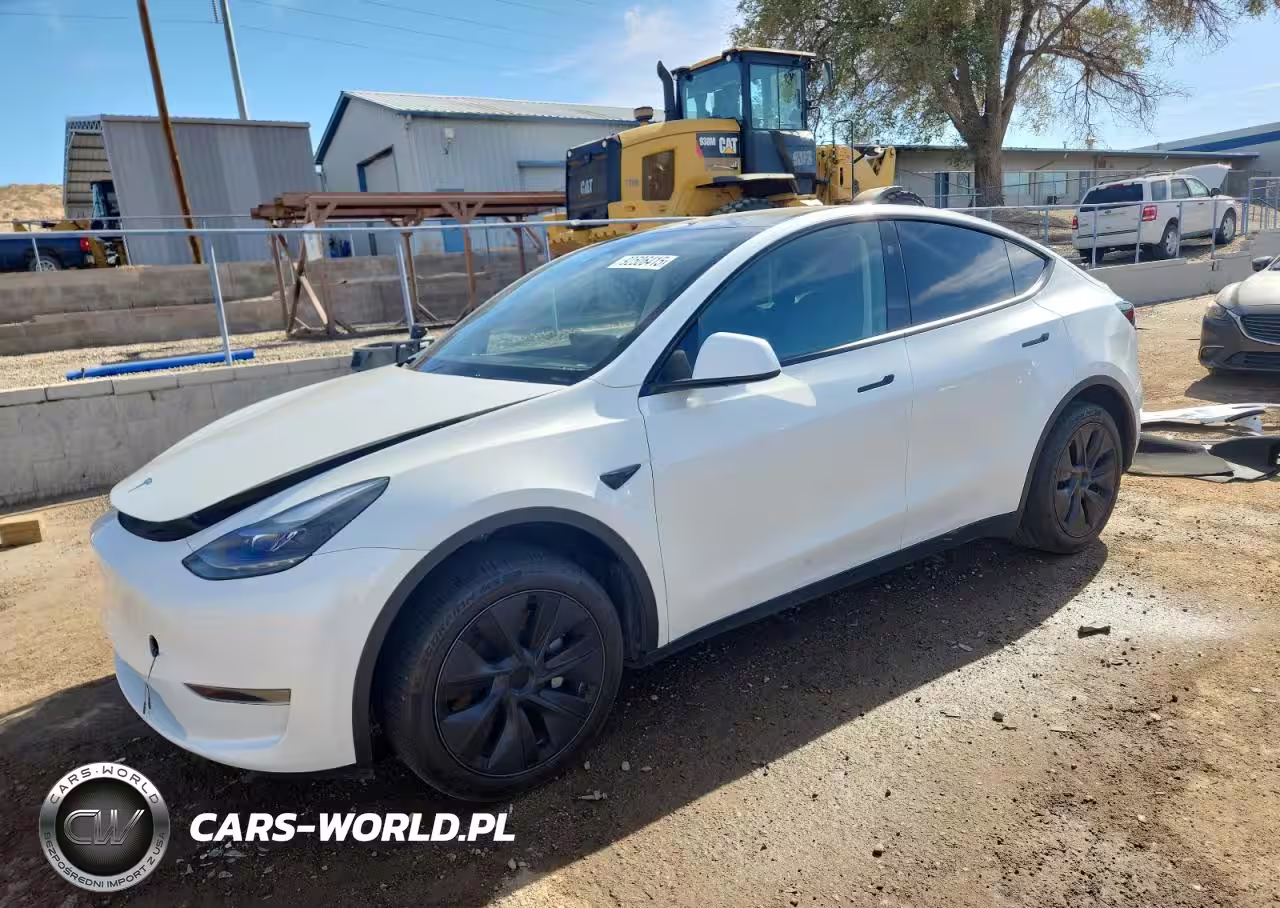2025 Tesla Model Y