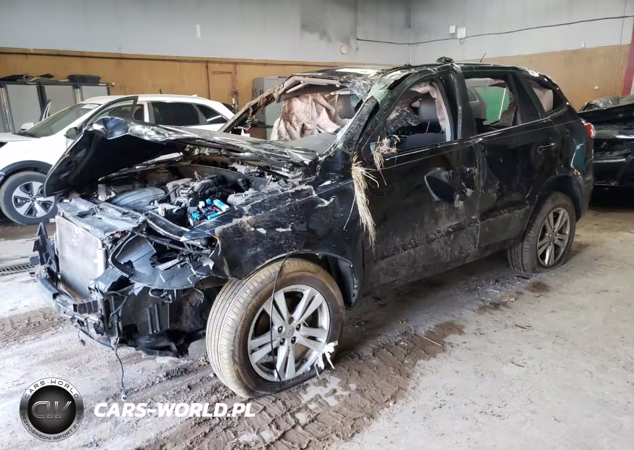 2010 Hyundai Santa Fe Se