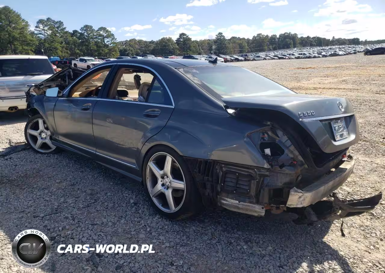 2010 Mercedes-Benz S 550 VIN:WDDNG7BB7AA333029 - 2