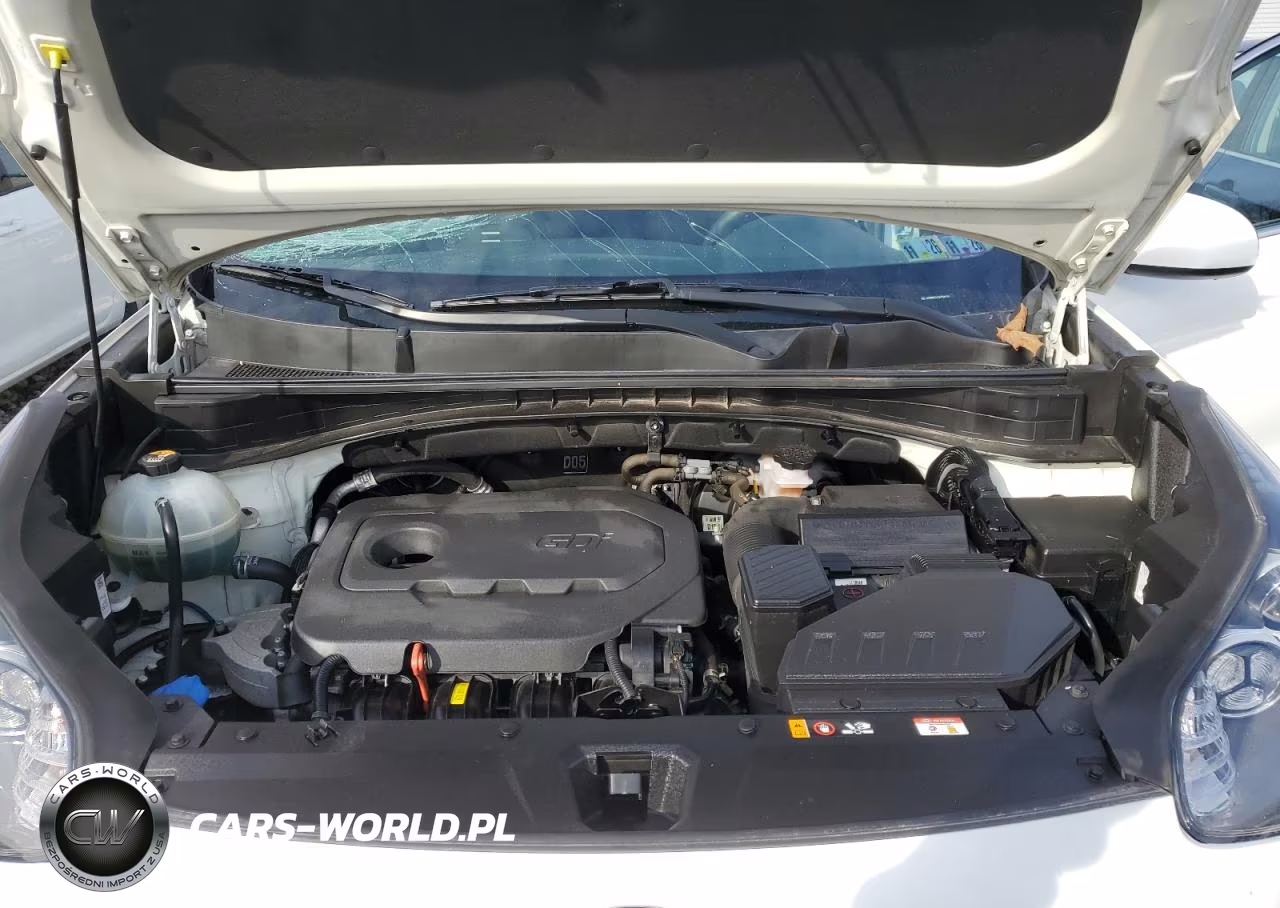 2019 Kia Sportage Lx VIN:KNDPMCAC1K7626731 - 12