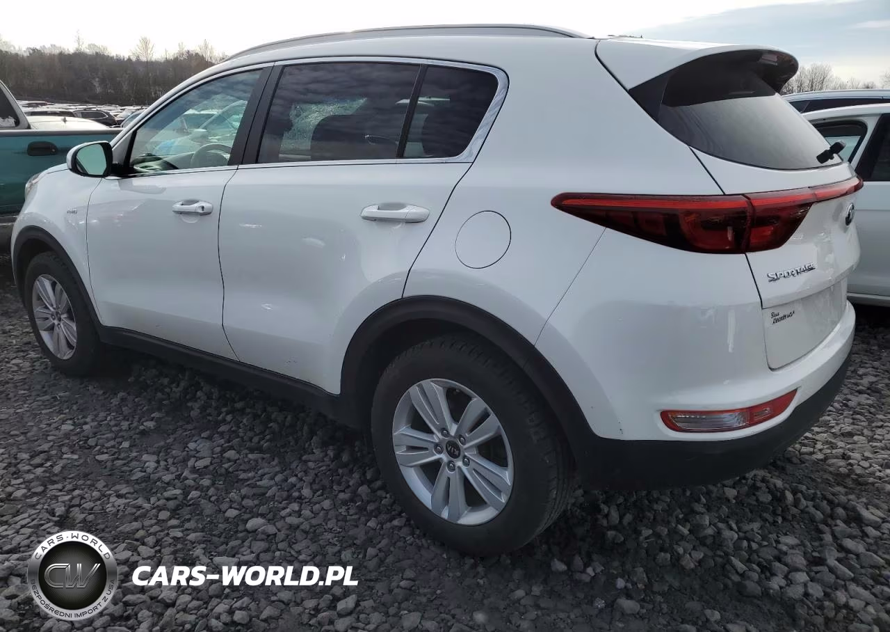 2019 Kia Sportage Lx VIN:KNDPMCAC1K7626731 - 2