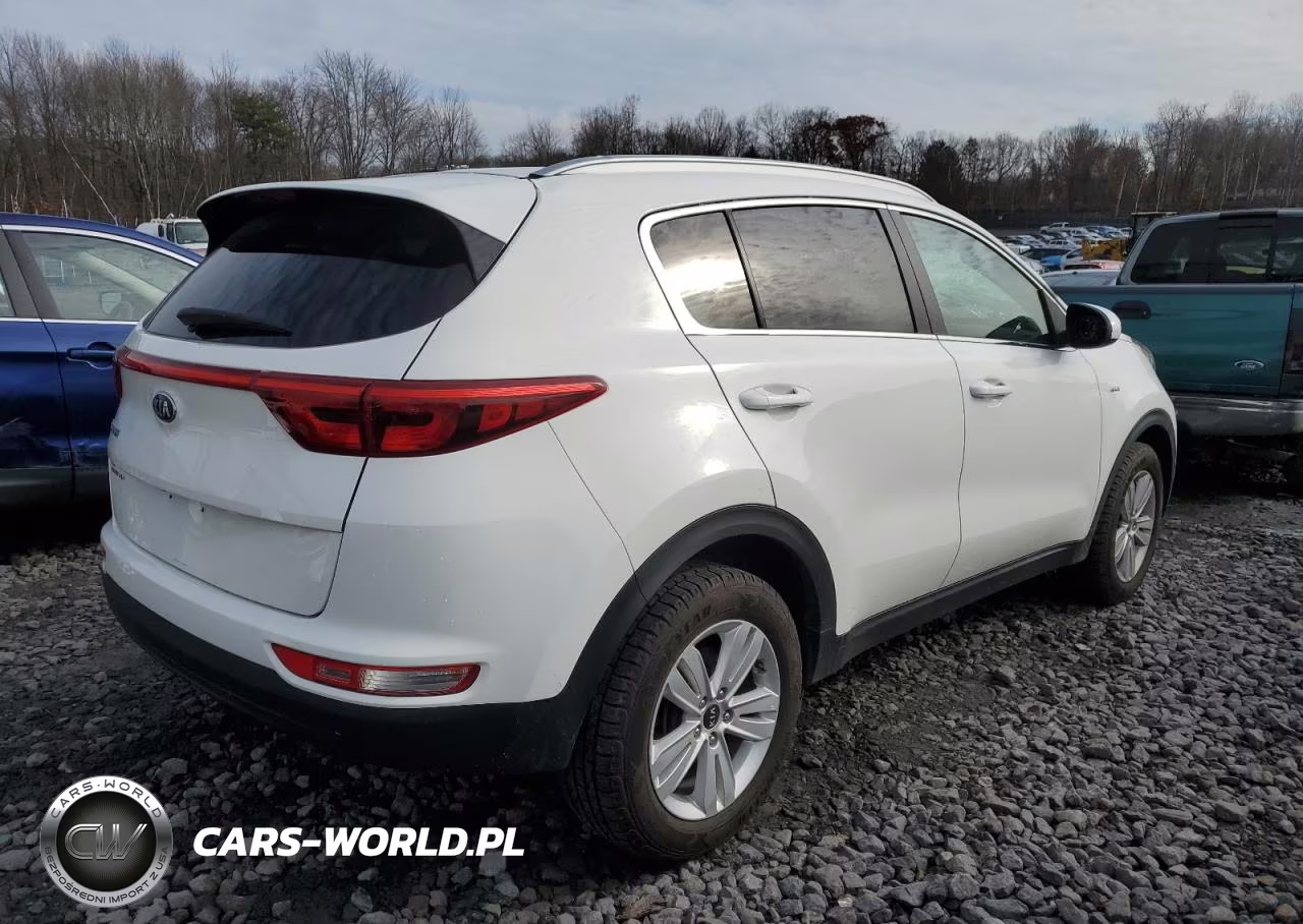 2019 Kia Sportage Lx VIN:KNDPMCAC1K7626731 - 3