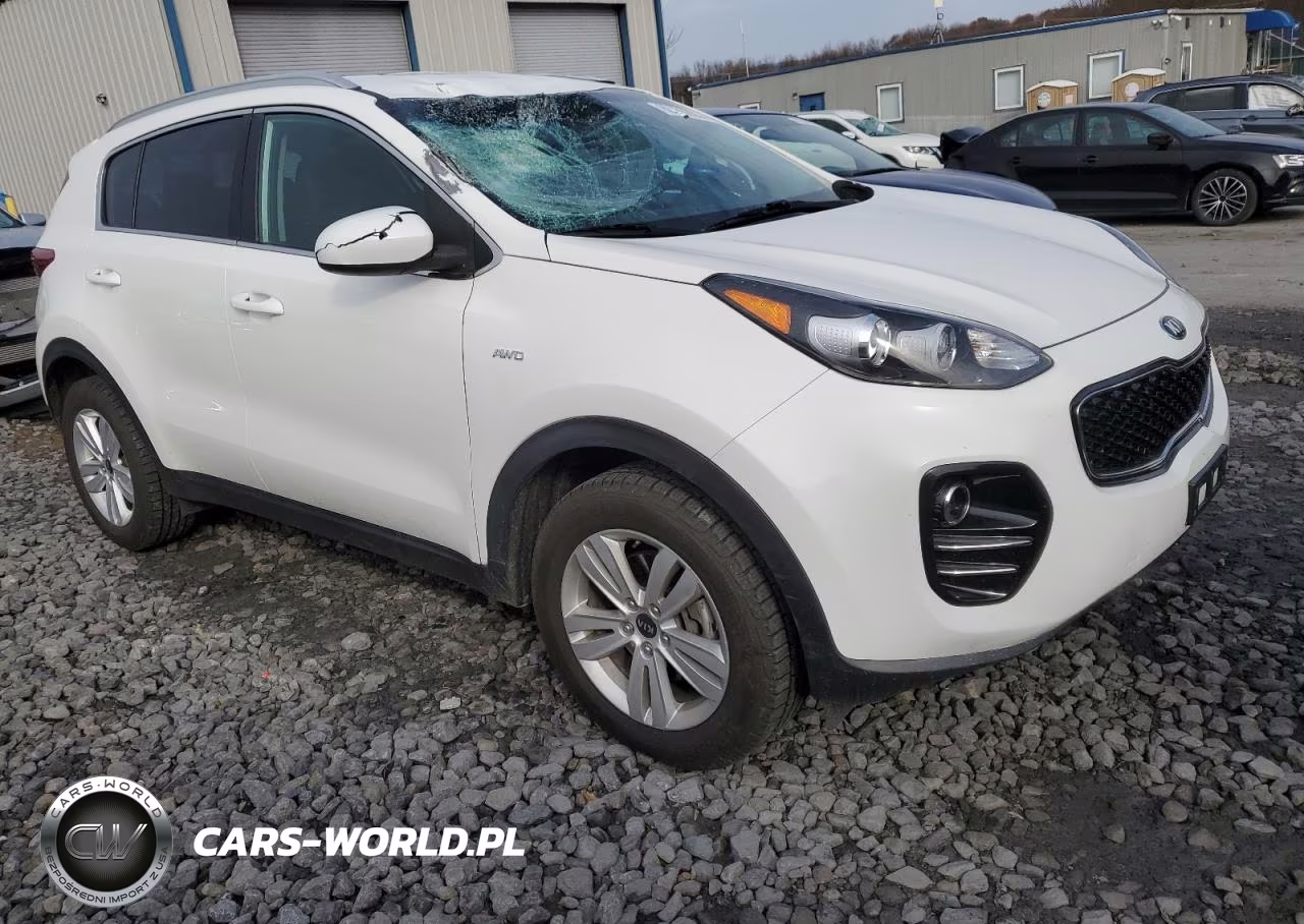 2019 Kia Sportage Lx VIN:KNDPMCAC1K7626731 - 4