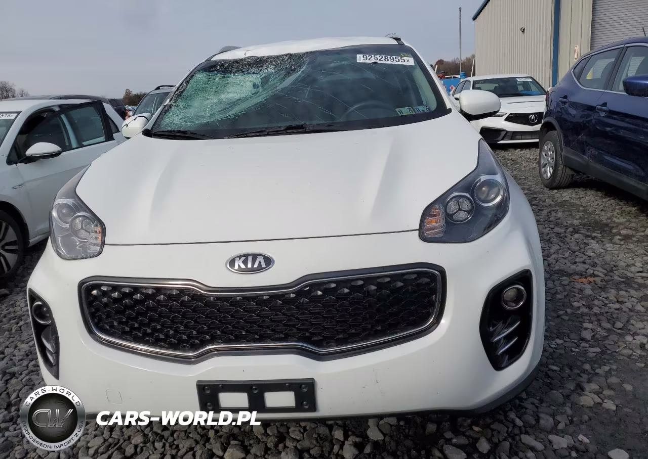 2019 Kia Sportage Lx VIN:KNDPMCAC1K7626731 - 5