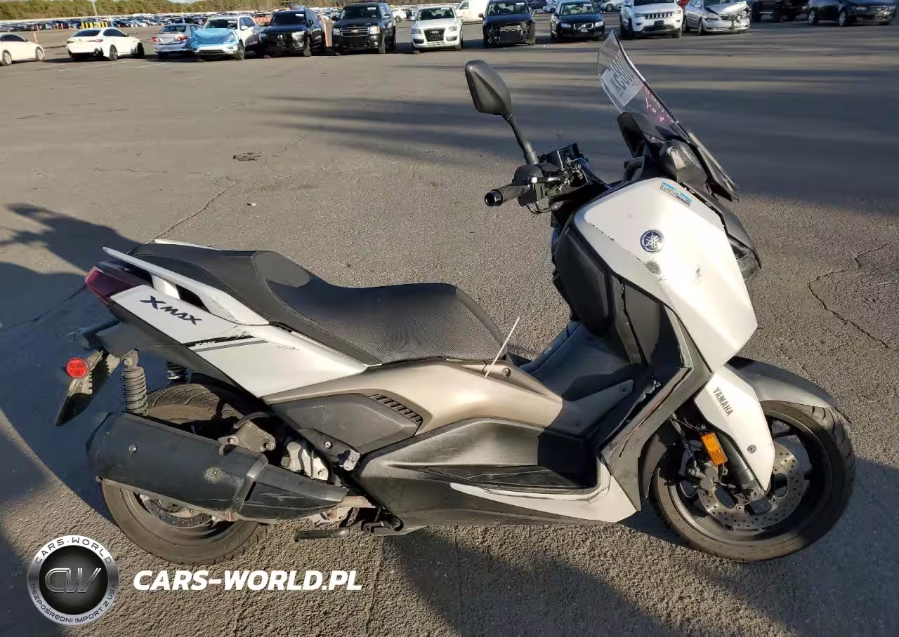 2024 Yamaha Czd300 A