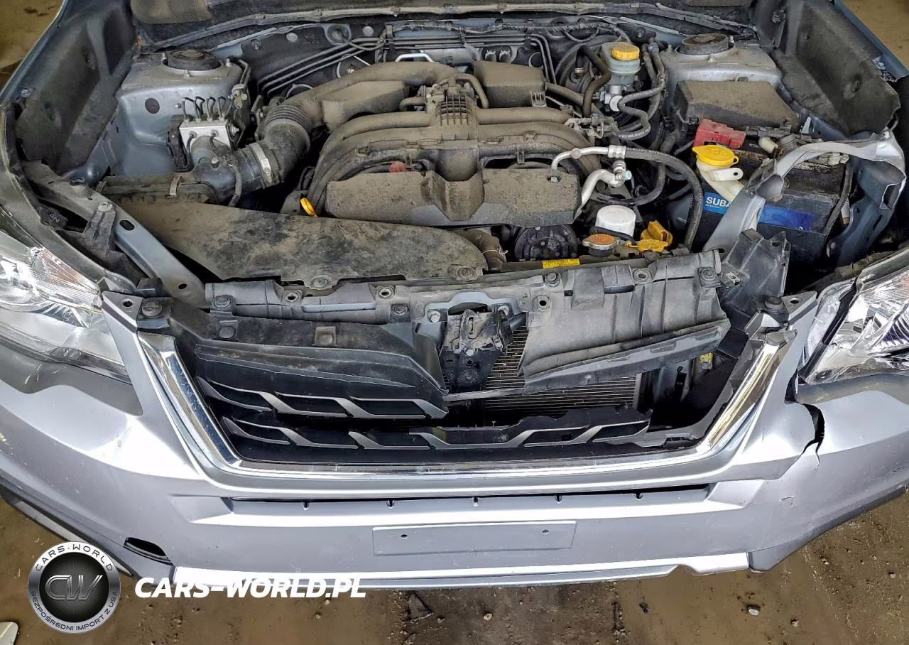 2018 Subaru Forester 2.5I VIN:JF2SJABC2JH461630 - 12