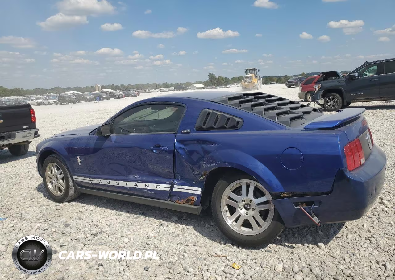 2005 Ford Mustang VIN:1ZVFT80N155253105 - 2