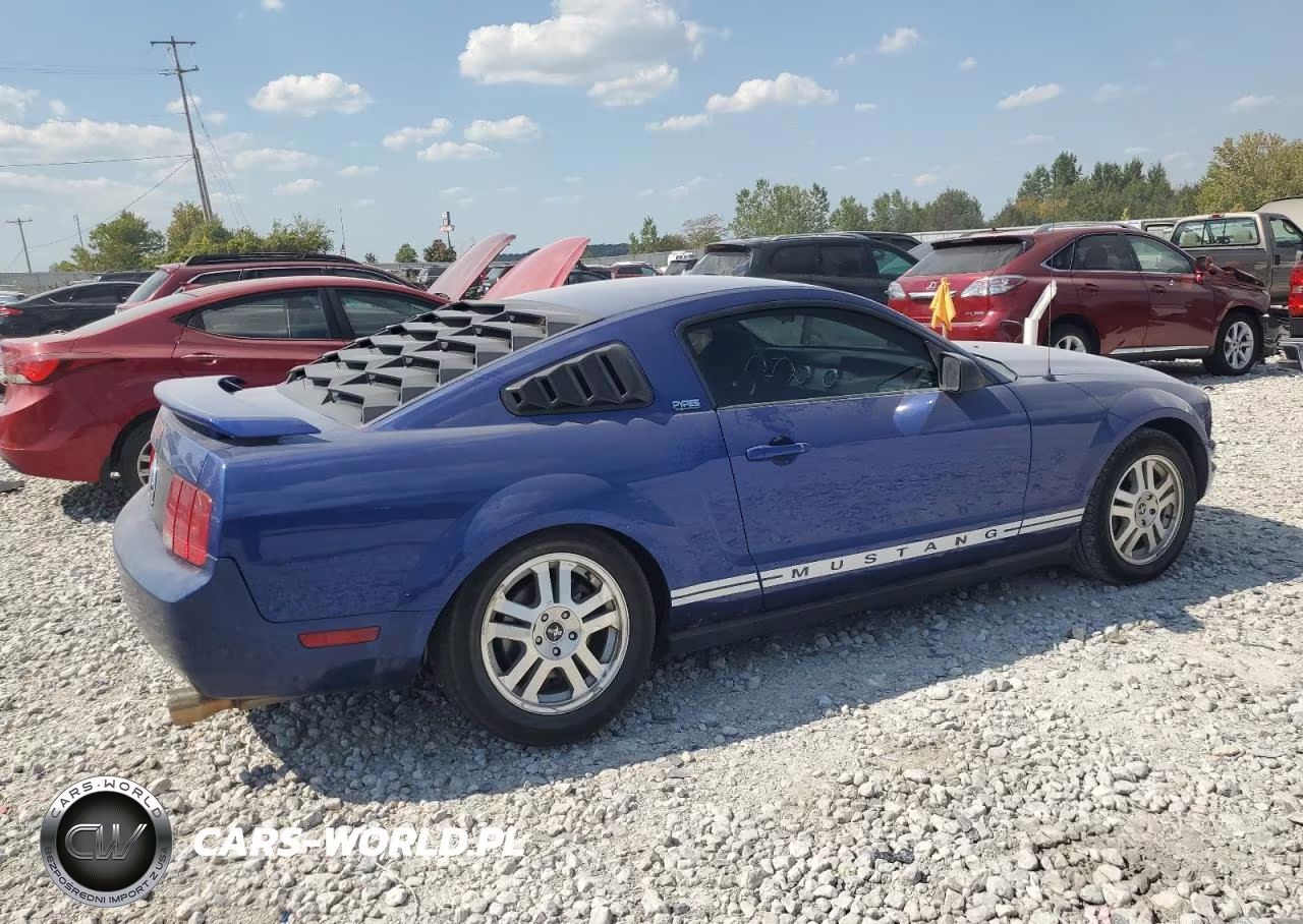2005 Ford Mustang VIN:1ZVFT80N155253105 - 3