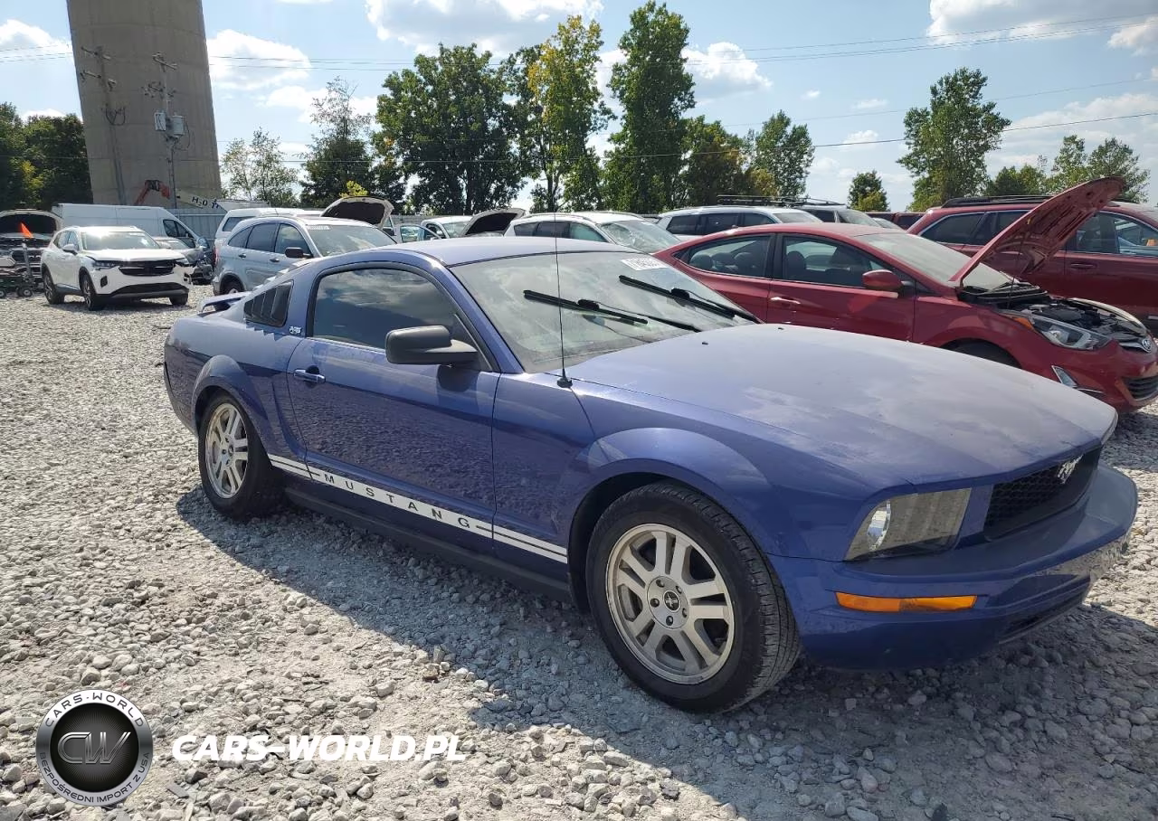 2005 Ford Mustang VIN:1ZVFT80N155253105 - 4