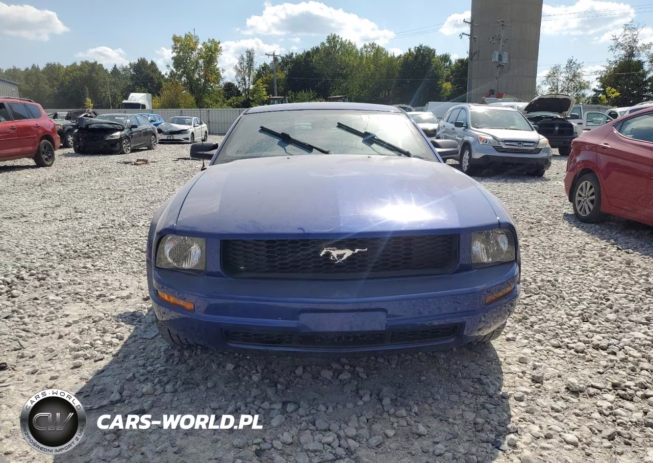 2005 Ford Mustang VIN:1ZVFT80N155253105 - 5