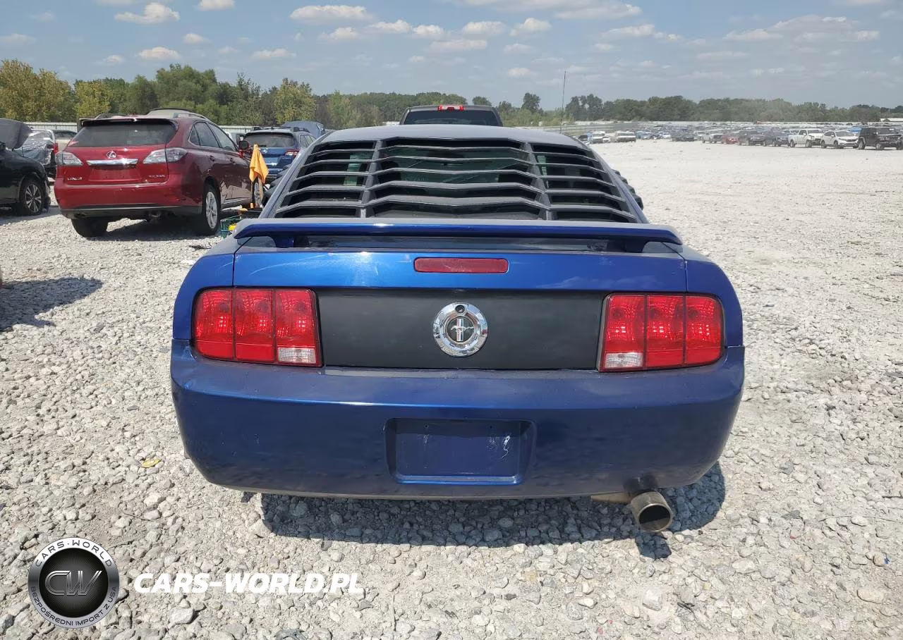 2005 Ford Mustang VIN:1ZVFT80N155253105 - 6