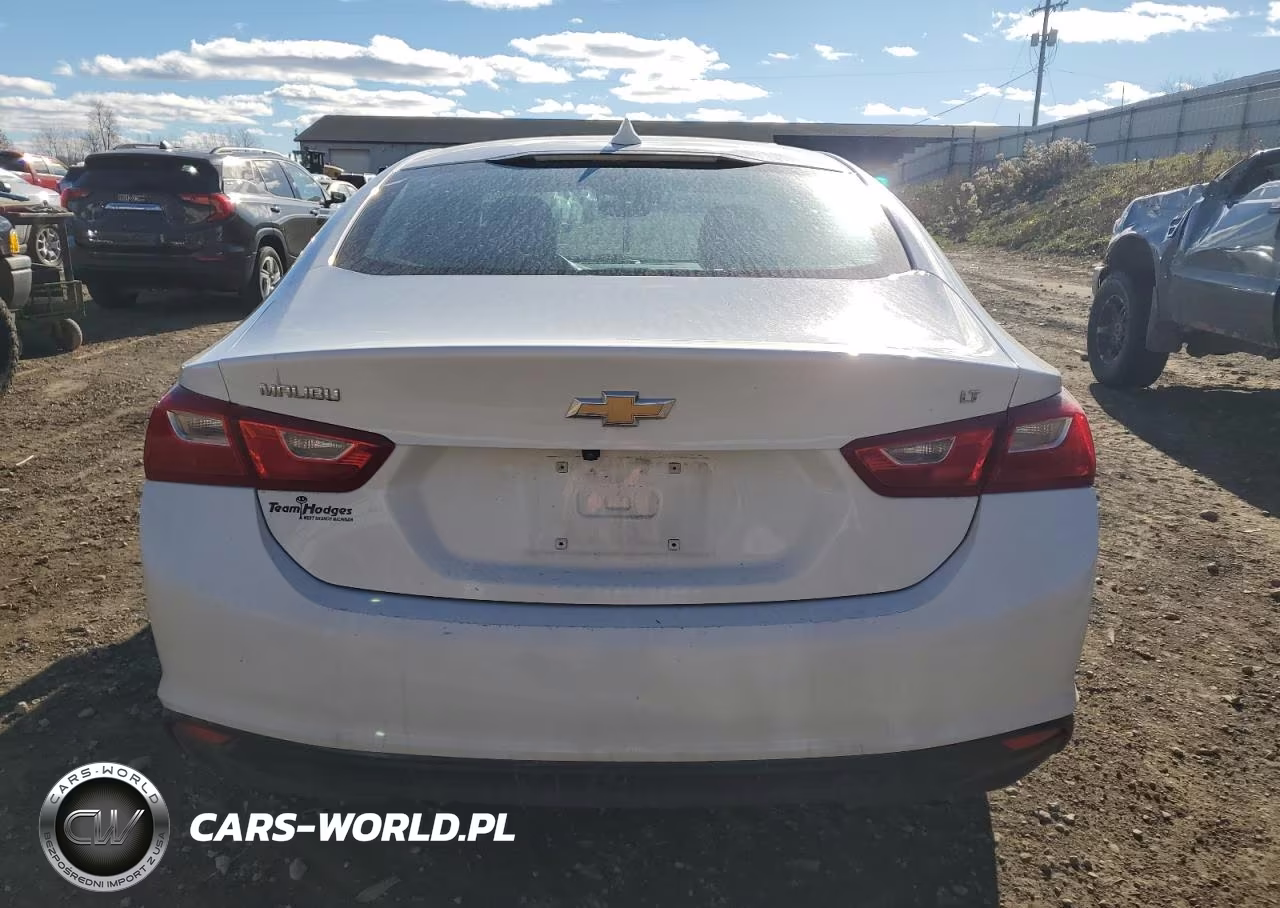 2023 Chevrolet Malibu Lt VIN:1G1ZD5ST1PF123841 - 6