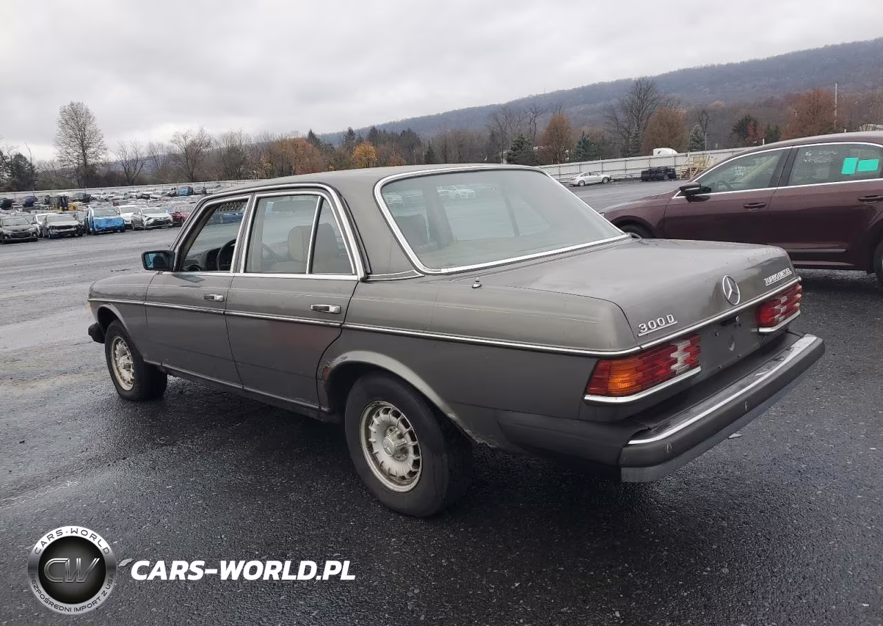 1983 Mercedes-Benz 300 VIN:WDBAB33A9DB023449 - 2