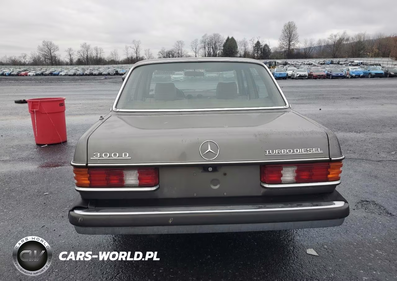 1983 Mercedes-Benz 300 VIN:WDBAB33A9DB023449 - 6