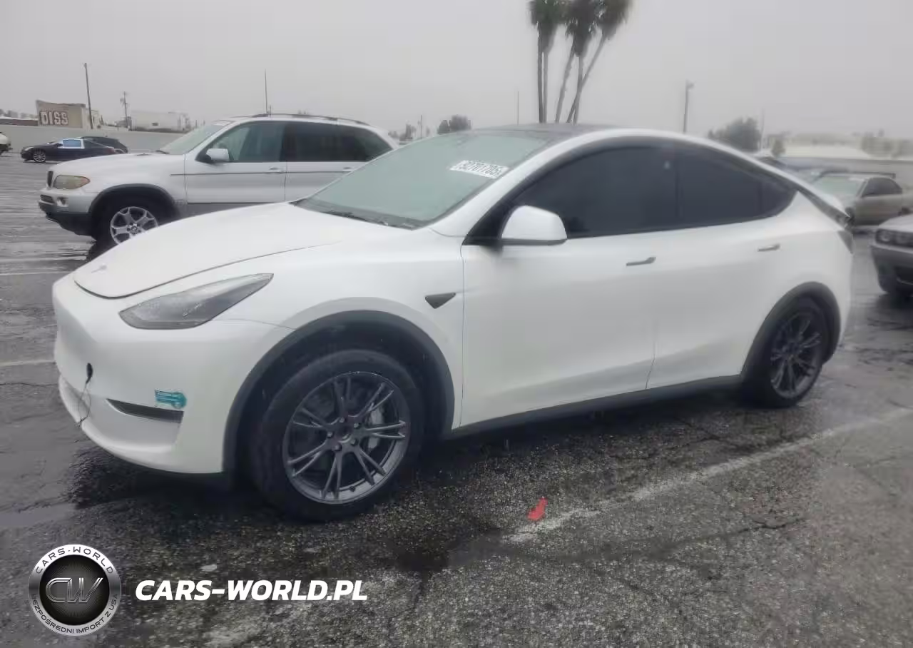 2025 Tesla Model Y