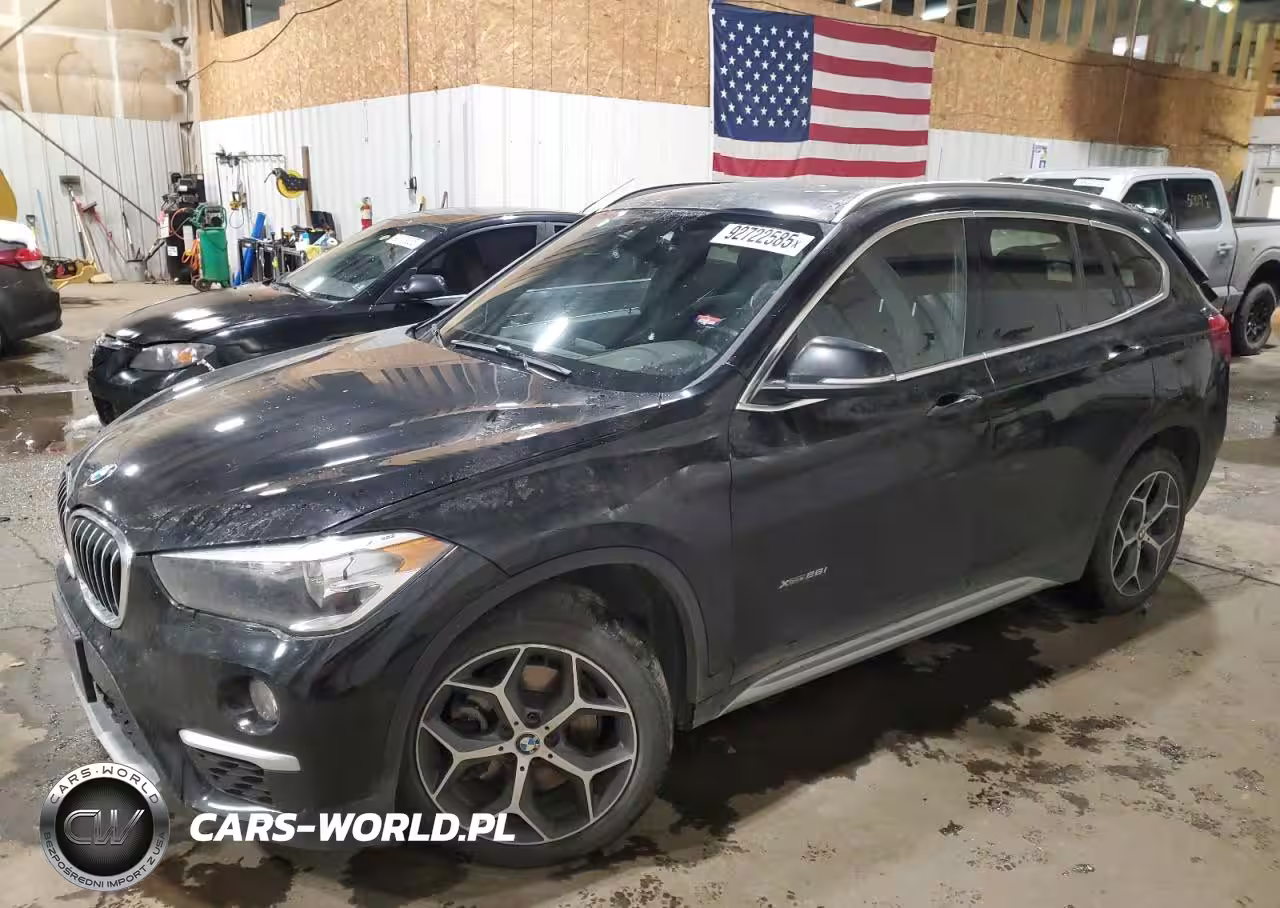 2017 BMW X1 xDrive28I – zdjęcie 1 z 13