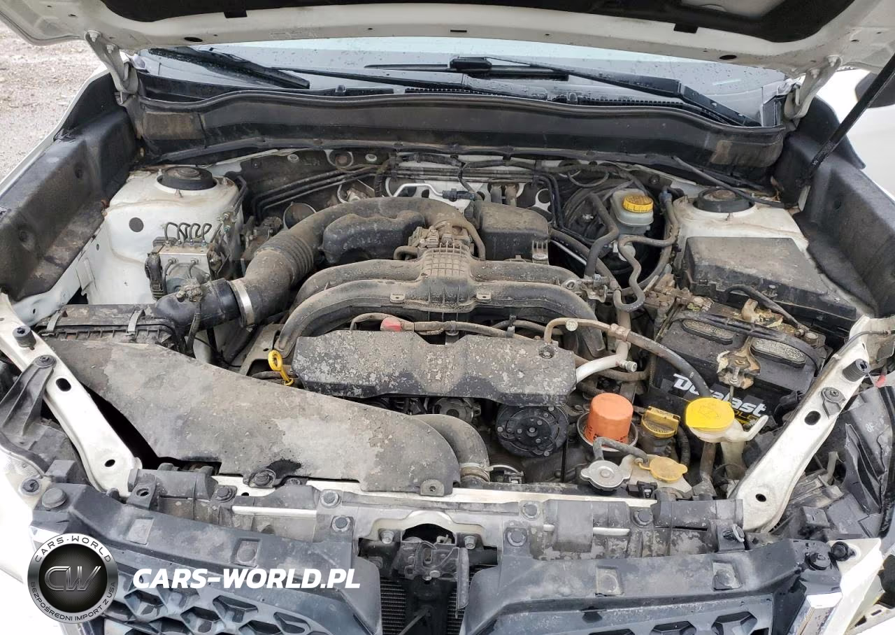 2014 Subaru Forester VIN:JF2SJAMC7EH508492 - 12